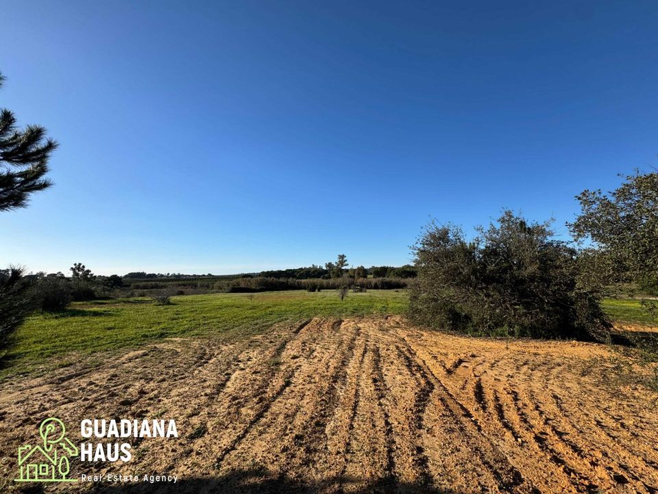Landejendom i Villablanca, Huelva - foto 5