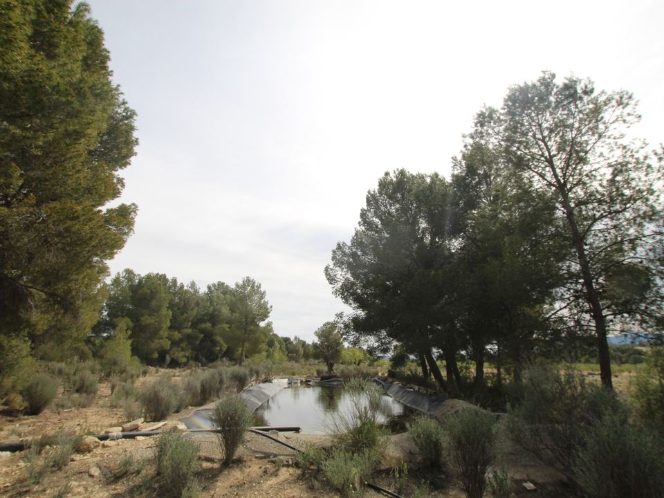 Landejendom i Monovar, Alicante - foto 2