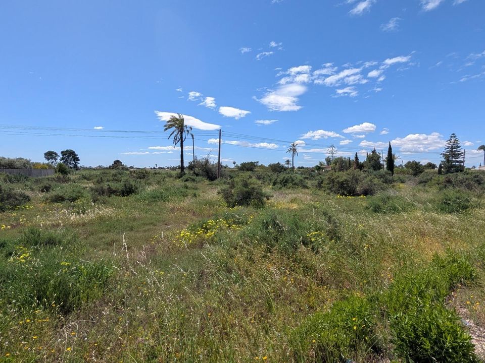 Helårsgrund i Elche, Alicante - foto 1