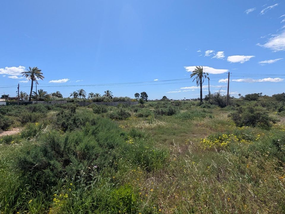 Helårsgrund i Elche, Alicante - foto 2