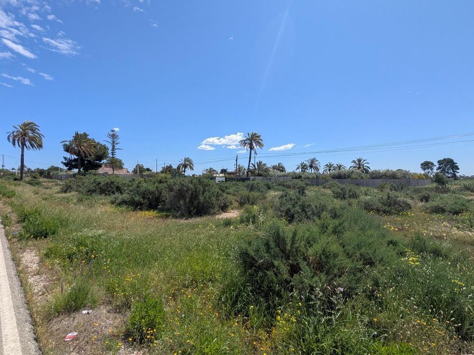 Helårsgrund i Elche, Alicante - foto 3
