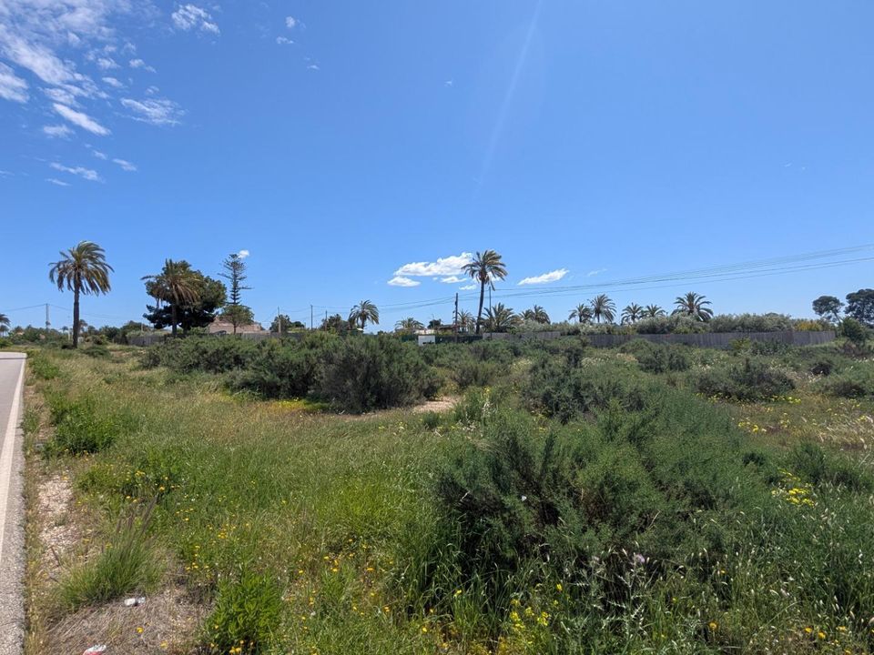 Helårsgrund i Elche, Alicante - foto 4