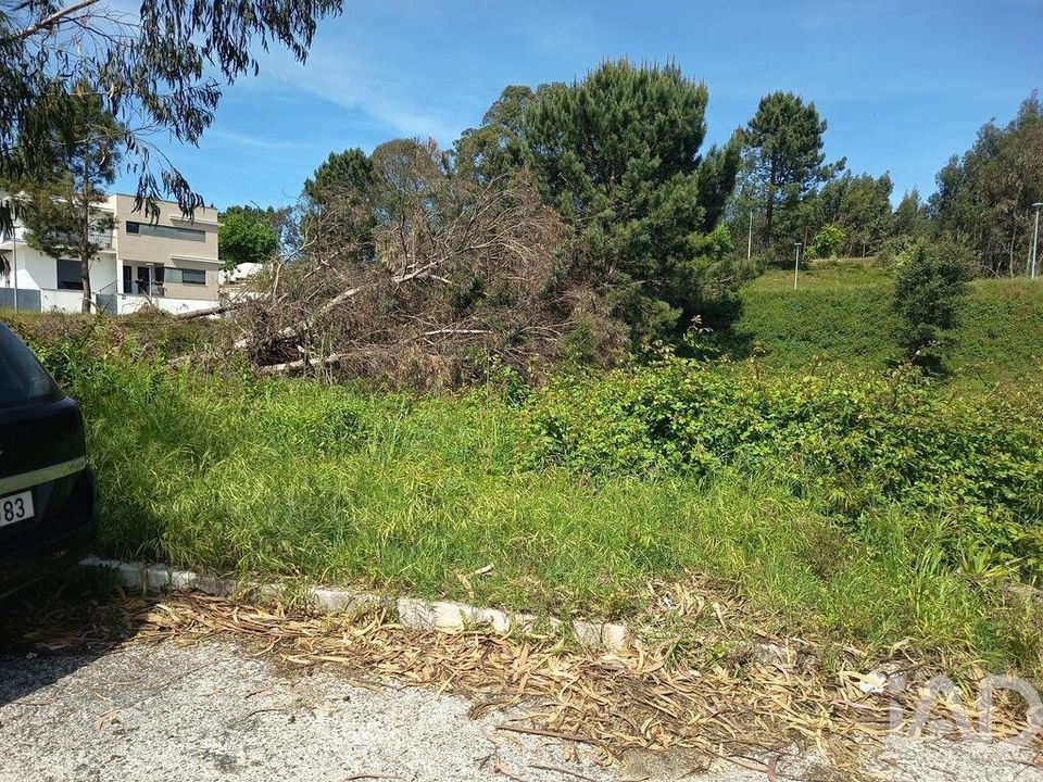 Helårsgrund i Rio Maior, Santarem - foto 1