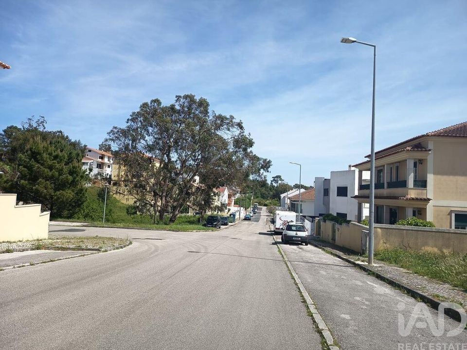 Helårsgrund i Rio Maior, Santarem - foto 4