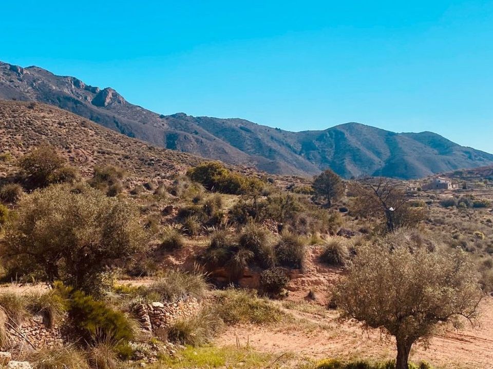 Villa i Hondon De Las Nieves, Alicante - foto 3