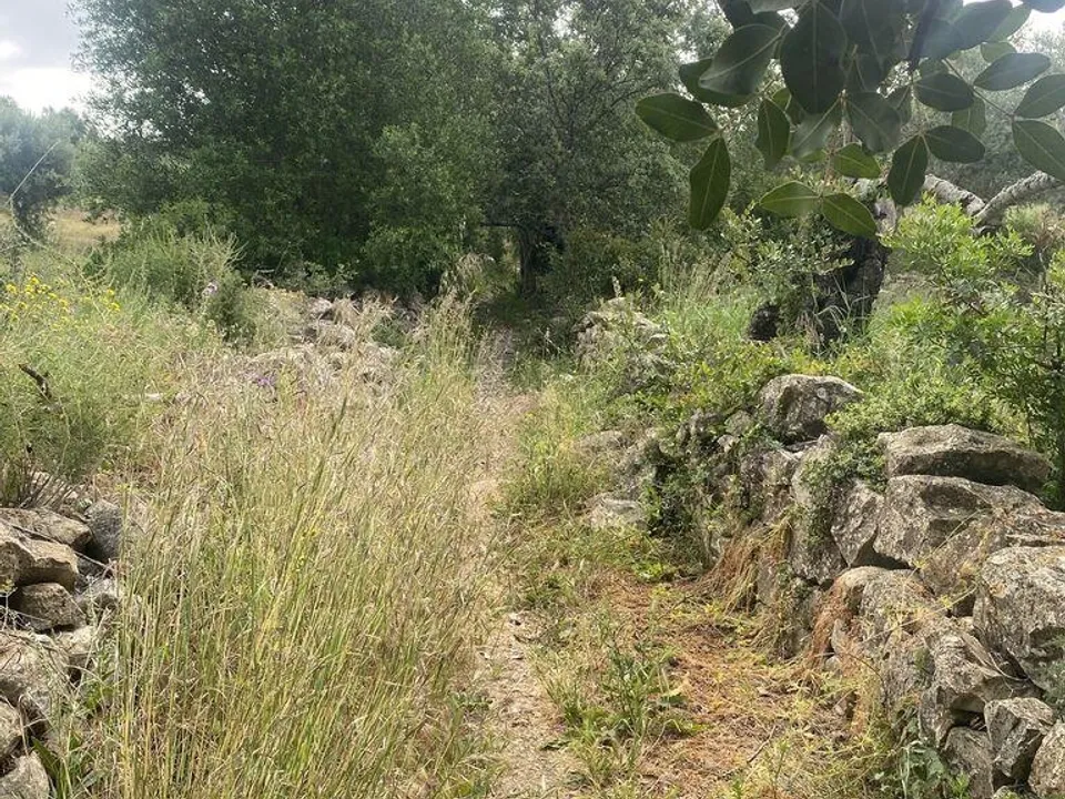Grond in Faro, Faro - foto 2