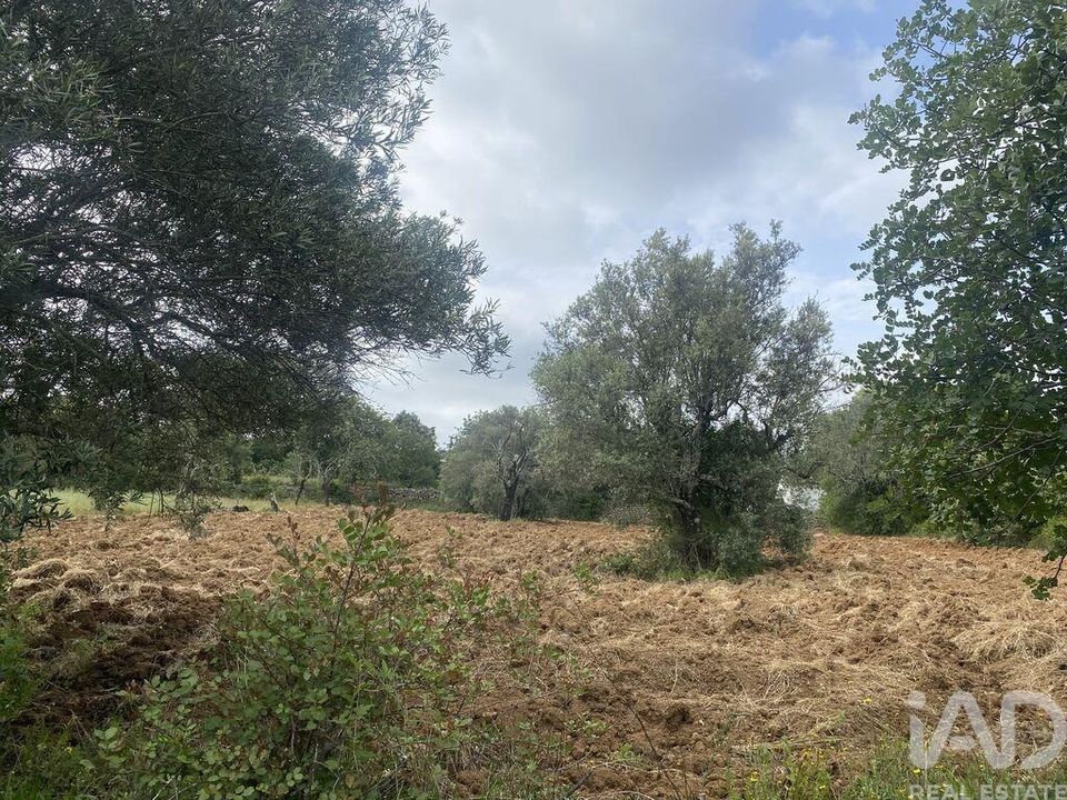 Grond in Faro, Faro - foto 3