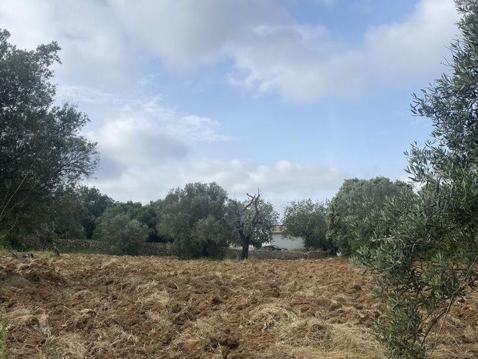 Grond in Faro, Faro - foto 5