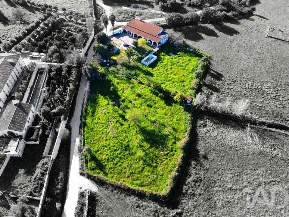 Farm i Vila Vicosa, Evora - foto 1