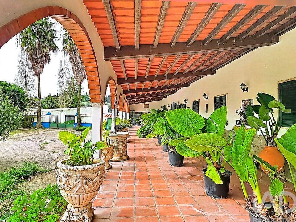 Farm i Vila Vicosa, Evora - foto 4