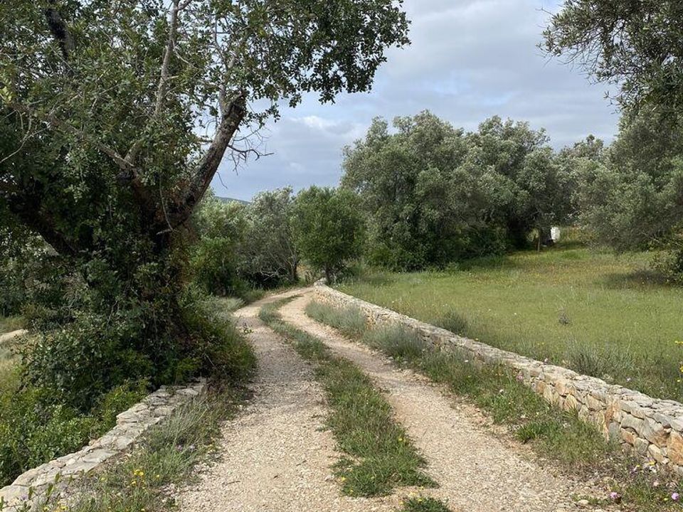 Grond in Faro, Faro - foto 4