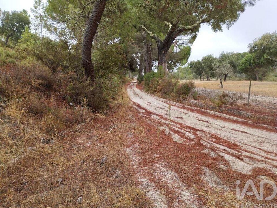 Terreno en Ponte de Sor, Portalegre - foto 4