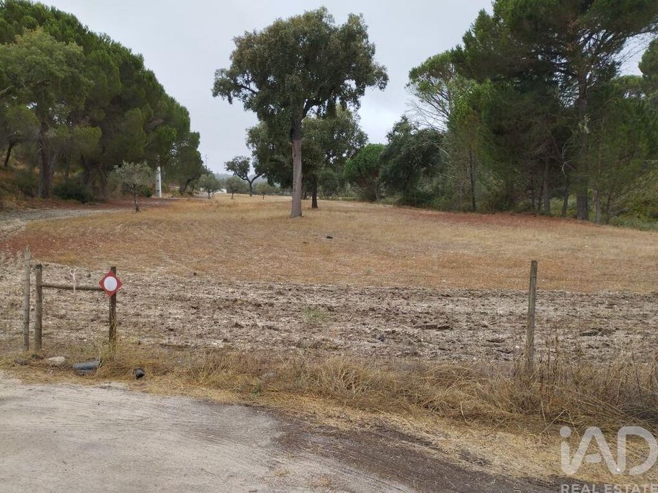 Terreno en Ponte de Sor, Portalegre - foto 5