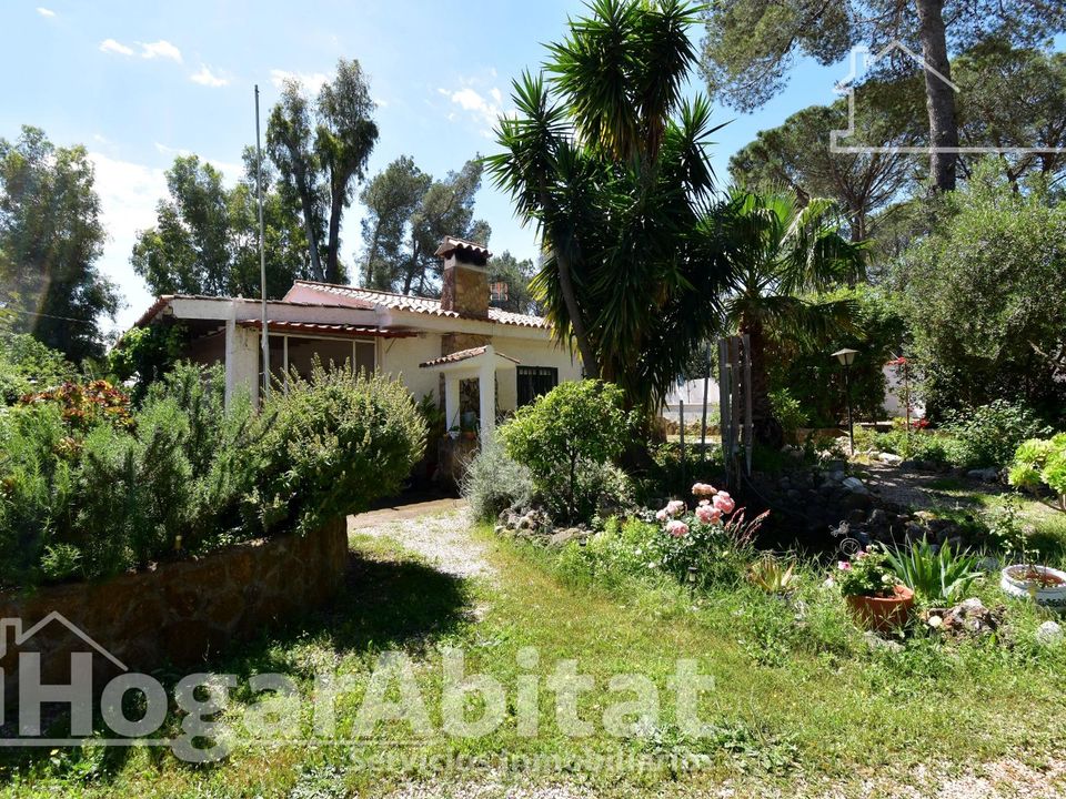 Villa i Gandia, Valencia - foto 4