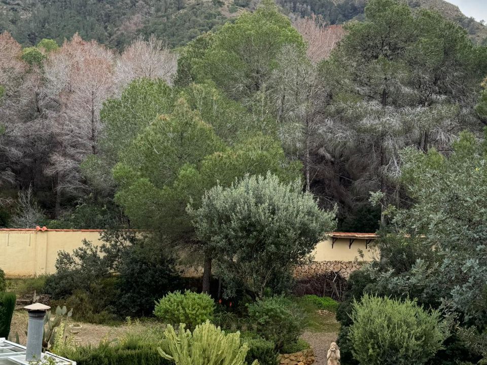 Helårsgrund i Albir, Alicante - foto 4