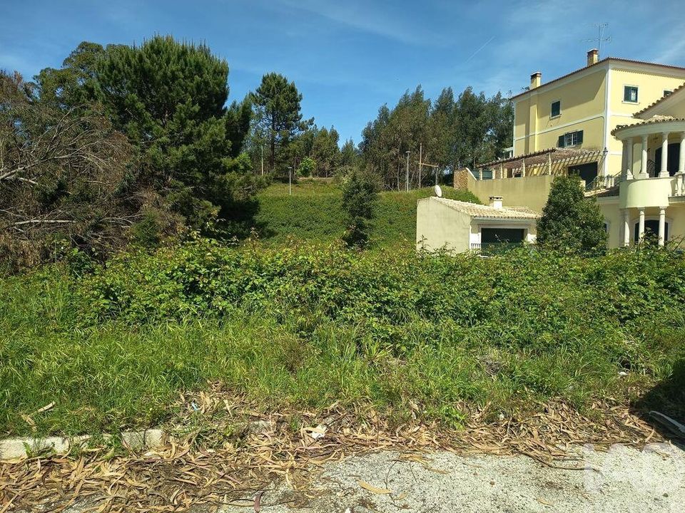 Helårsgrund i Rio Maior, Santarem - foto 4