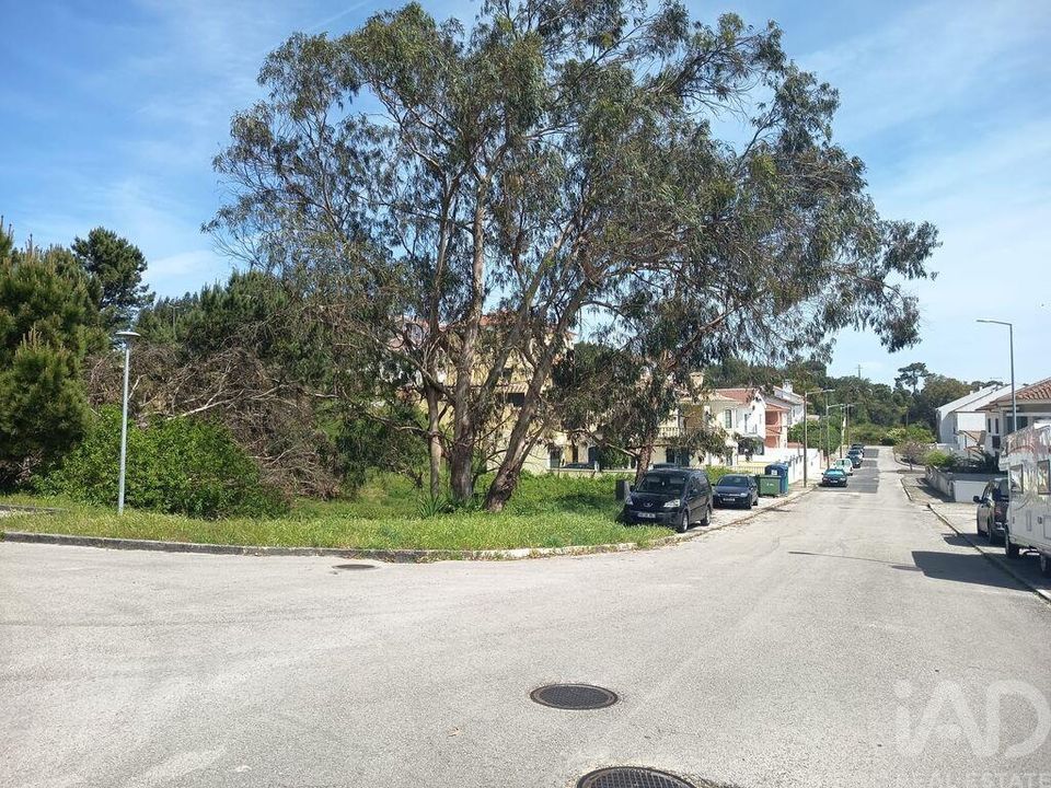 Helårsgrund i Rio Maior, Santarem - foto 5