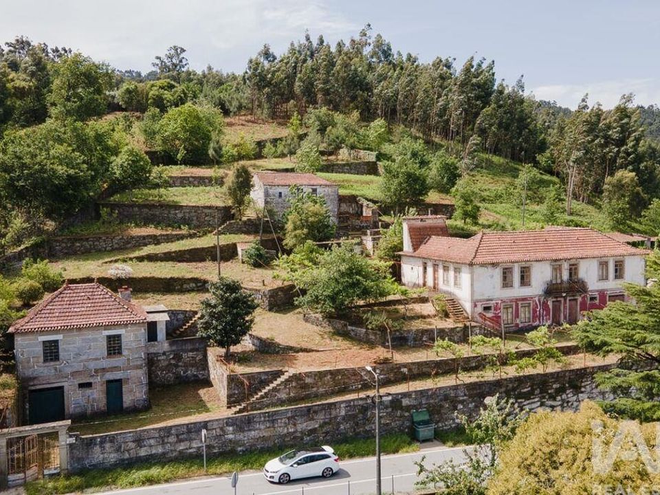 Farm i Cinfaes, Viseu - foto 4