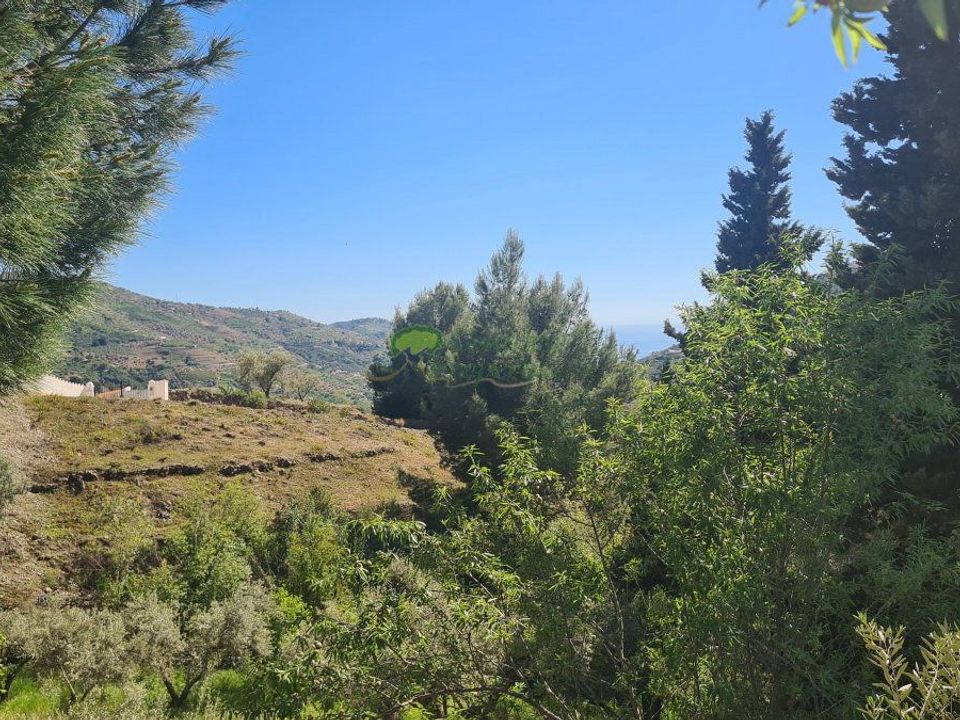 Landejendom i Competa, Malaga - foto 5