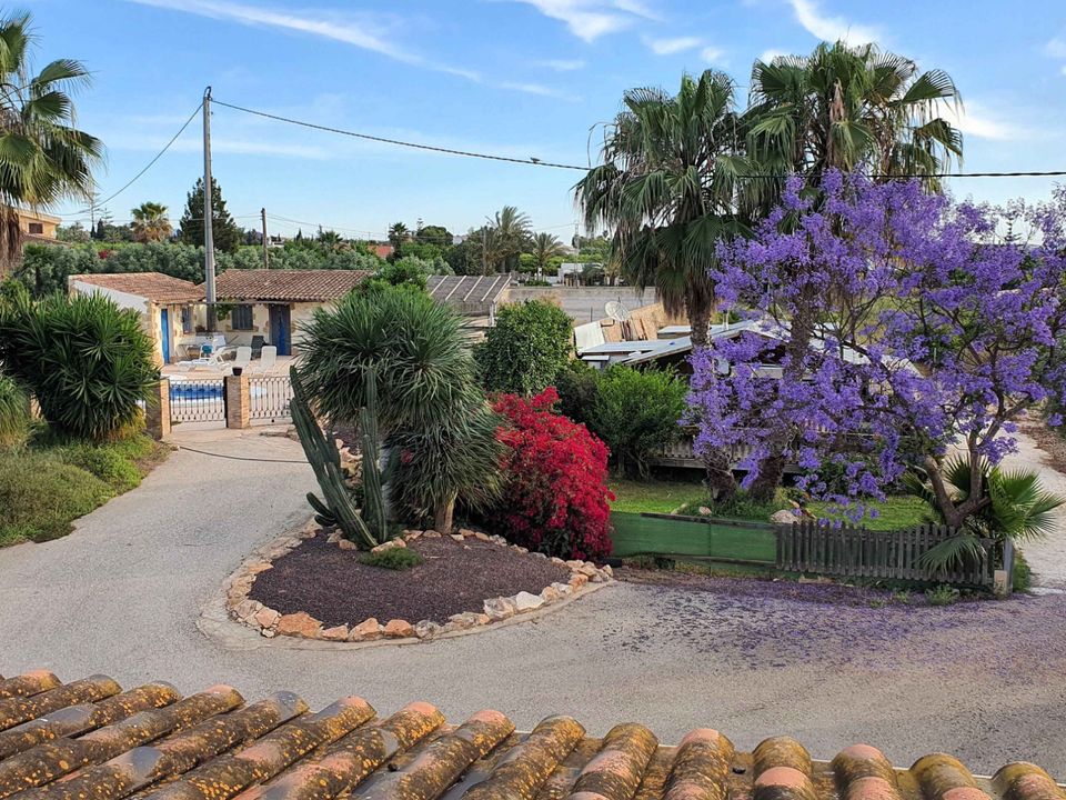 Finca i Los Montesinos, Alicante - foto 3