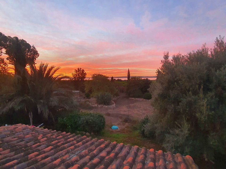 Finca i Los Montesinos, Alicante - foto 5