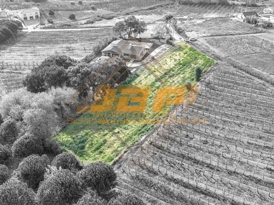 Helårsgrund i Alcobaca, Leiria - foto 2