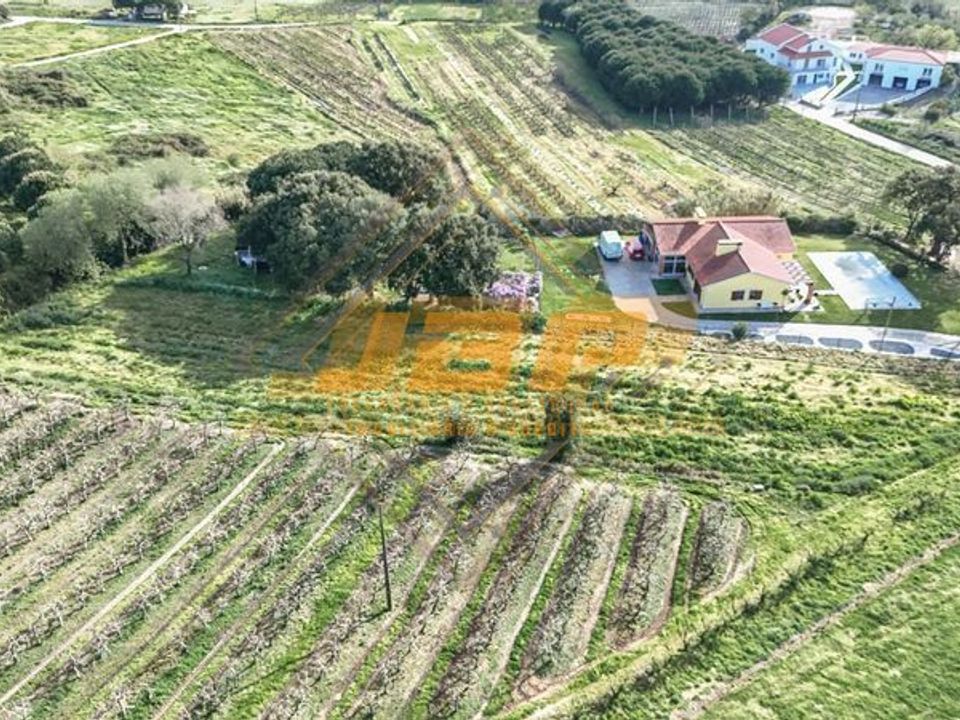 Helårsgrund i Alcobaca, Leiria - foto 4