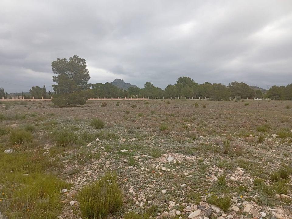 Helårsgrund i Salinas, Alicante - foto 1