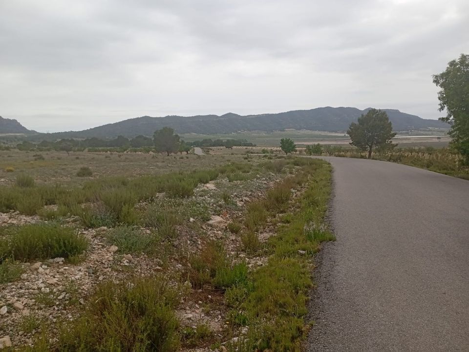 Helårsgrund i Salinas, Alicante - foto 2