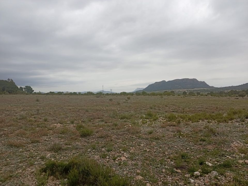 Helårsgrund i Salinas, Alicante - foto 3