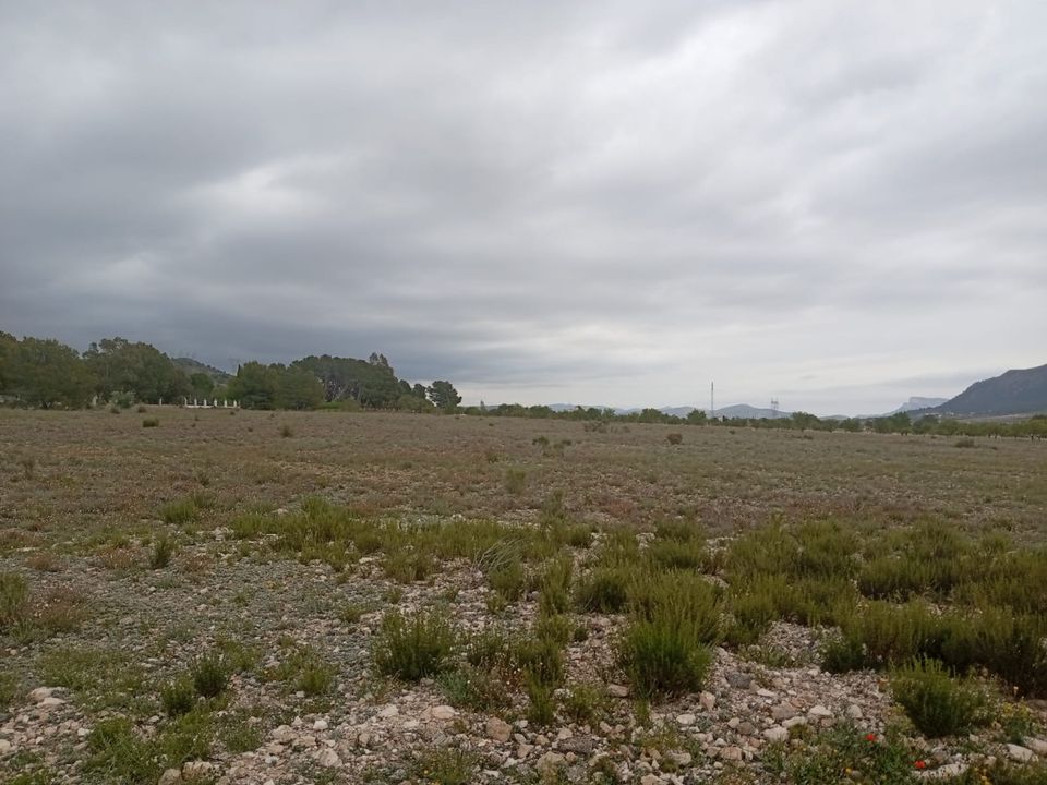 Helårsgrund i Salinas, Alicante - foto 4