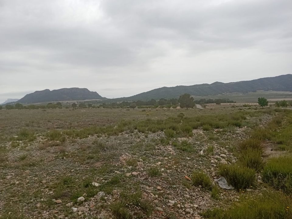 Helårsgrund i Salinas, Alicante - foto 5