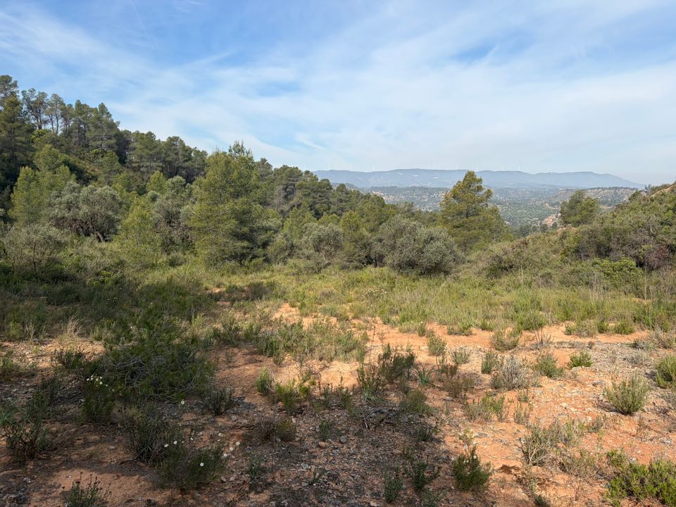 Helårsgrund i Asco, Tarragona - foto 2