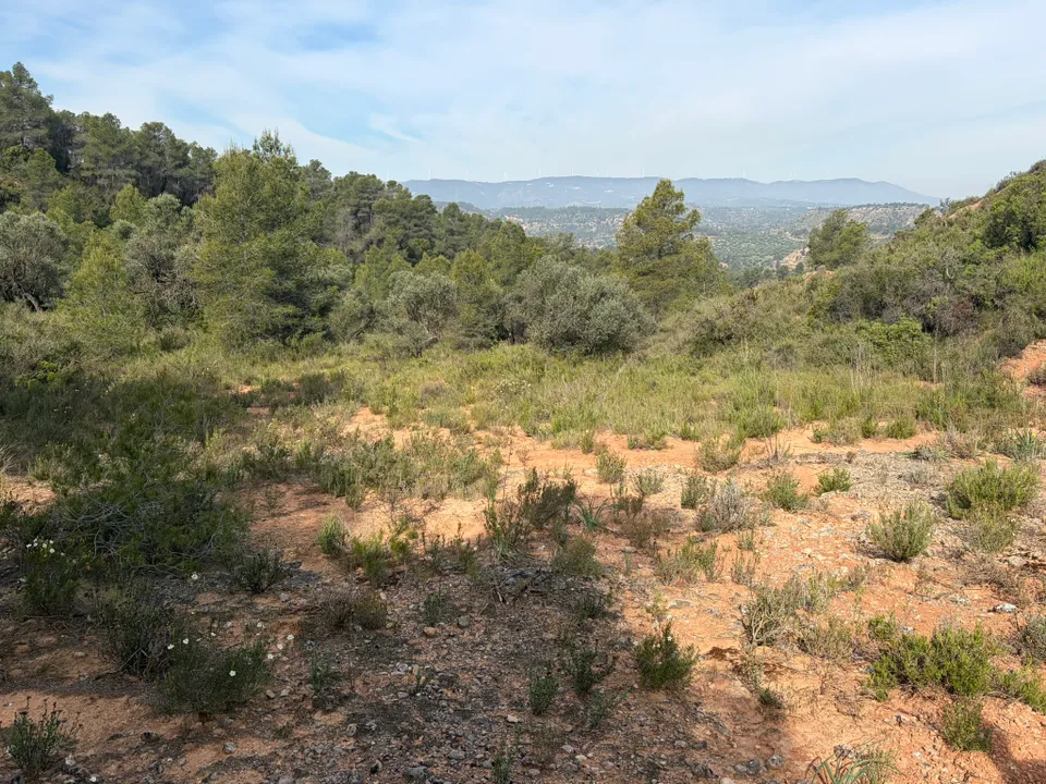 Helårsgrund i Asco, Tarragona - foto 1