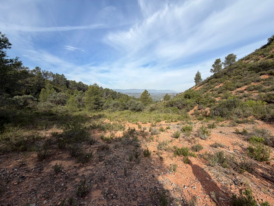 Helårsgrund i Asco, Tarragona - foto 3