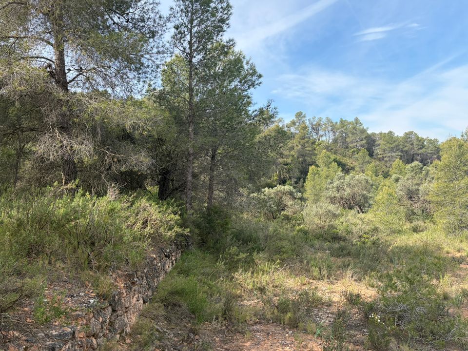 Helårsgrund i Asco, Tarragona - foto 4