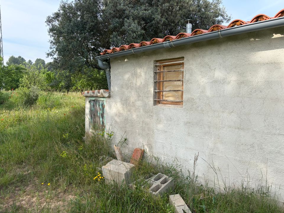 Finca i Asco, Tarragona - foto 5