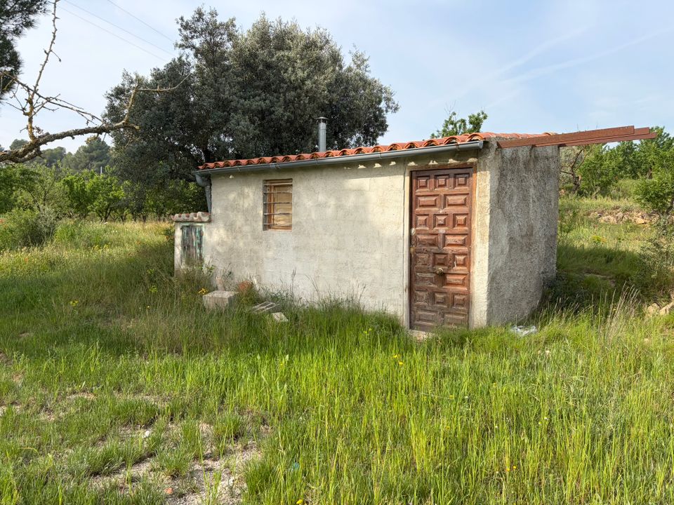 Finca i Asco, Tarragona - foto 1