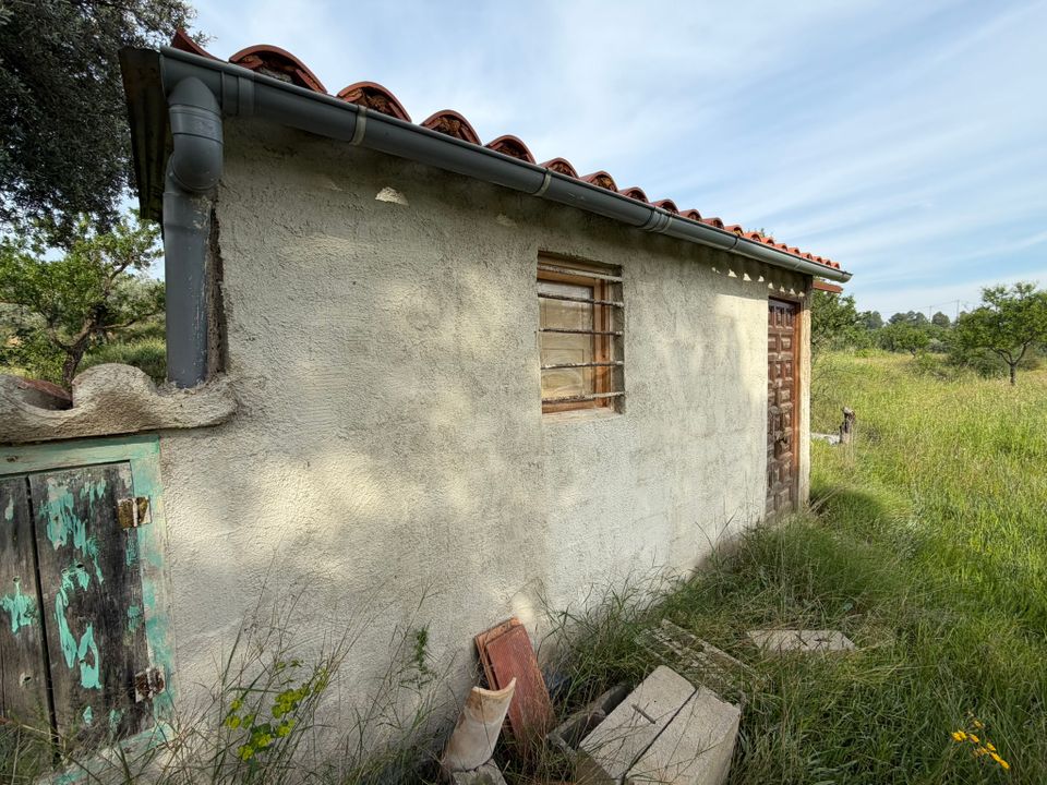 Finca i Asco, Tarragona - foto 4