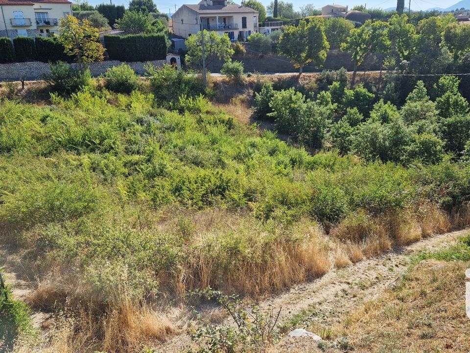 Tomt i Valensole, Alpes-de-Haute-Provence - bilde 1