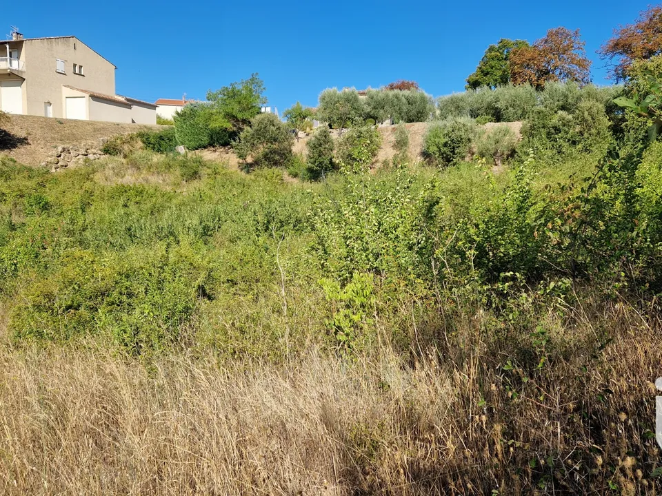 Tomt i Valensole, Alpes-de-Haute-Provence - bilde 2