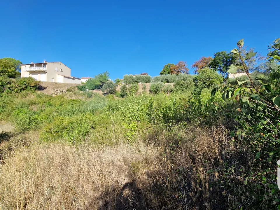Tomt i Valensole, Alpes-de-Haute-Provence - bilde 5