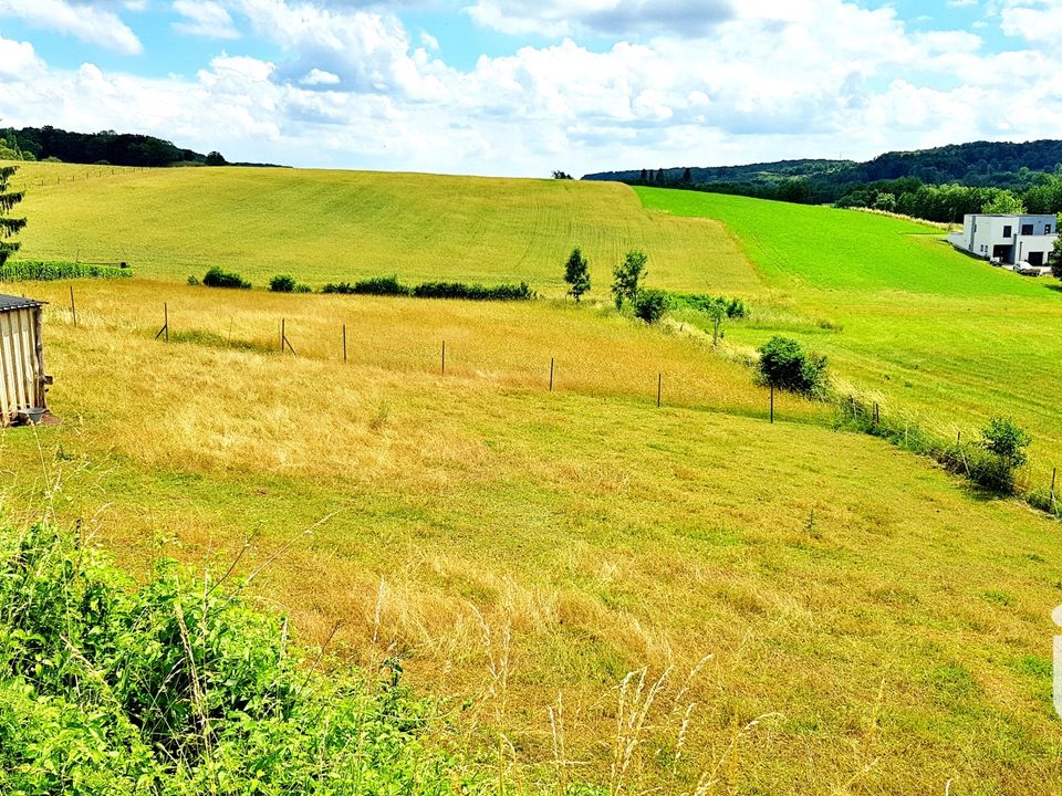 Terra em Elzange, Moselle - foto 2