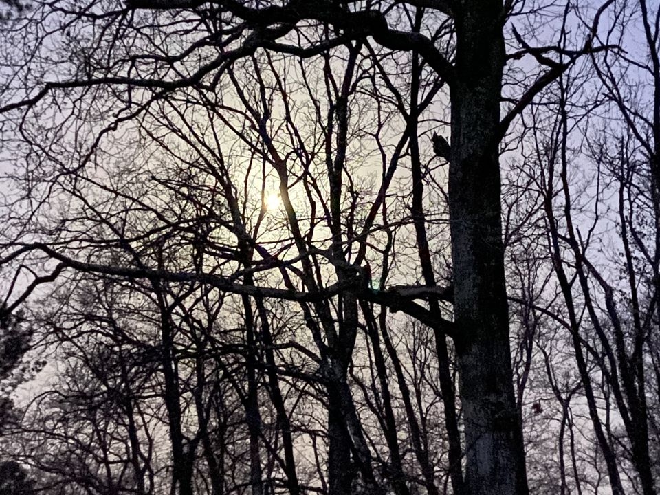 Helårsgrund i Lanton, Gironde - foto 2