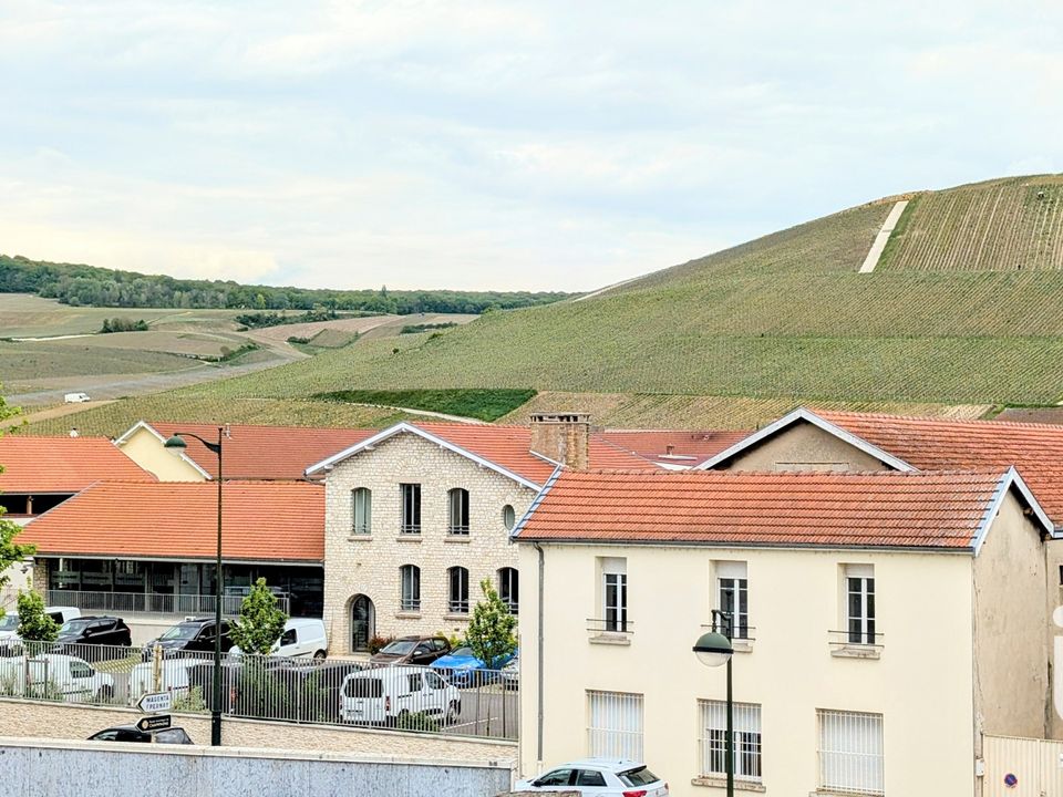 Leilighet i Ay-Champagne, Marne - bilde 2