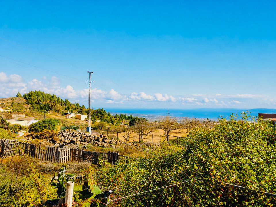 Finca i Granadilla de Abona, Tenerife - foto 2