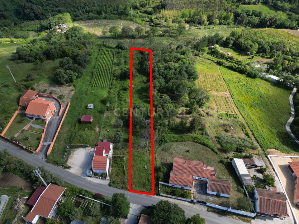 Helårsgrund i Alcobaca, Leiria - foto 1