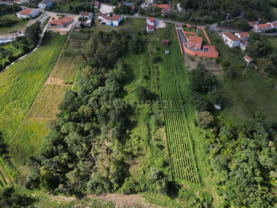 Helårsgrund i Alcobaca, Leiria - foto 4