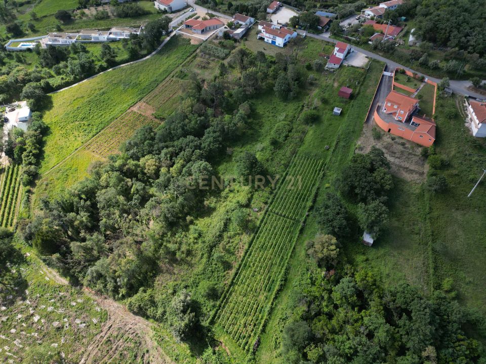 Helårsgrund i Alcobaca, Leiria - foto 5