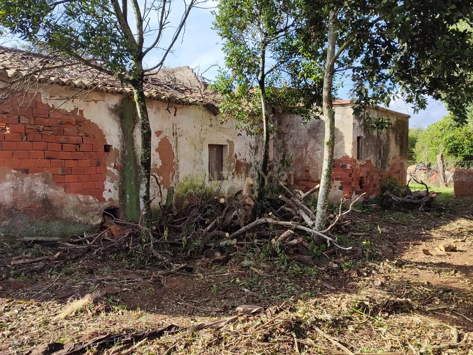 Helårsgrund i Silves, Faro - foto 4